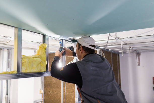 Professional Insulation Contractor in Greenville, GA