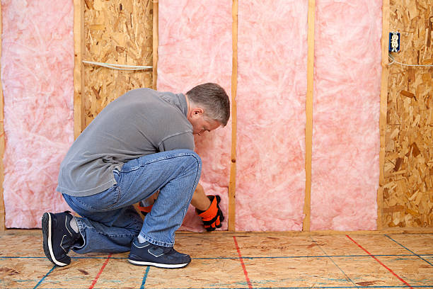 Best Specialized Insulation Services in Greenville, GA
