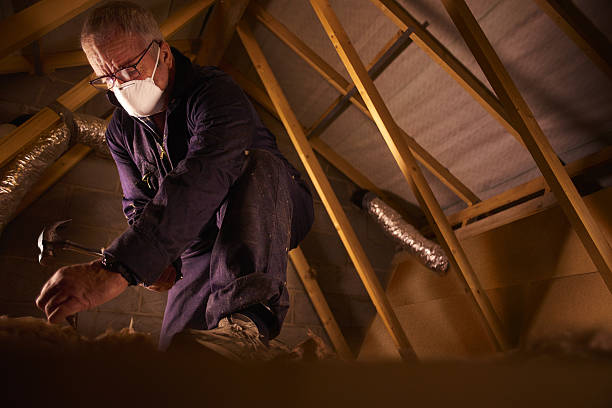 Types of Insulation We Offer in Greenville, GA