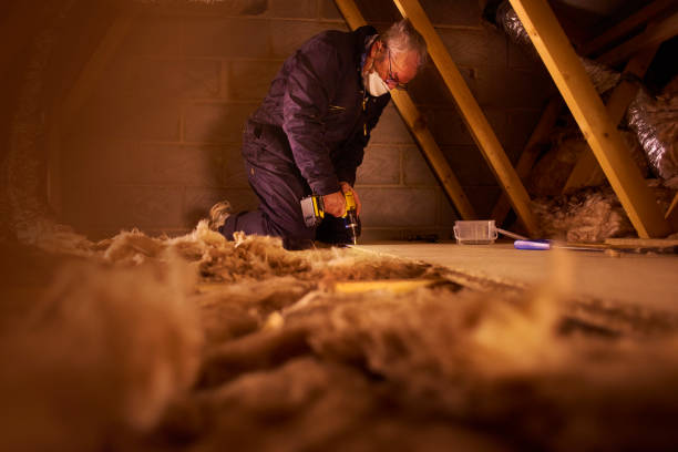 Best Blown-in Insulation in Greenville, GA
