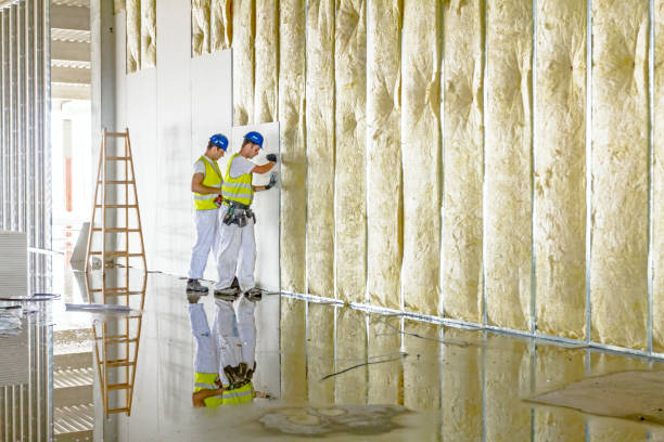 Best Energy Efficiency Insulation in Greenville, GA